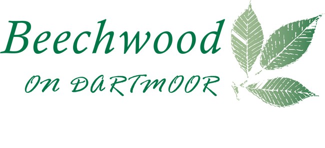 Beechwood Dartmoor B&B logo