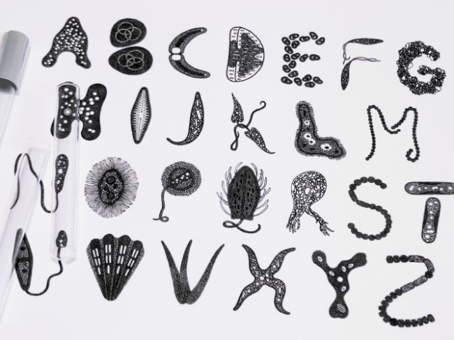 Font Of The Day: Microscopic Organism - Solopress