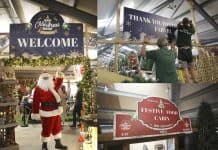 Ver Mercado de Natal do Centro de Jardinagem