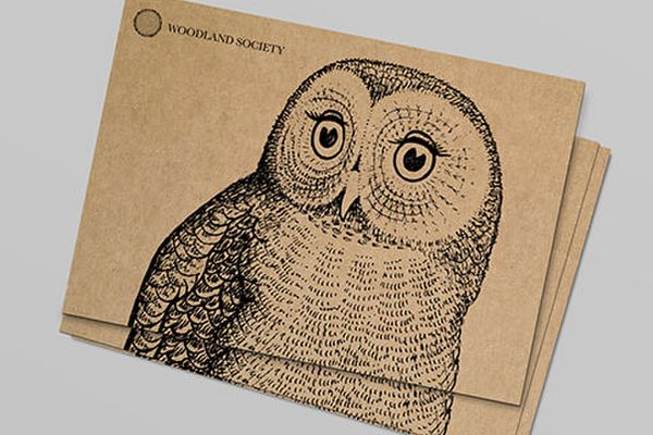 kraft paper postcards